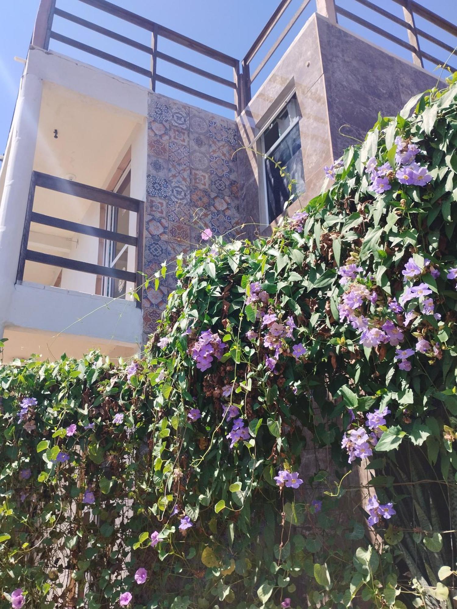 Seomarujo Rent A Room Morro Branco Beberibe Exterior photo